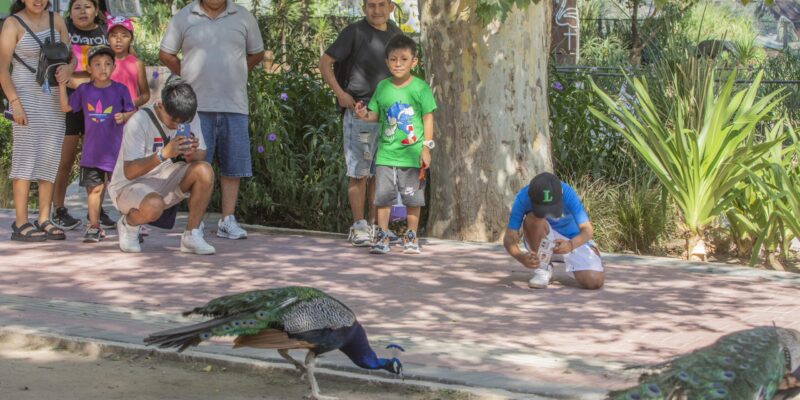 Semana De La Vida Silvestre En El Parque De La Biodiversidad