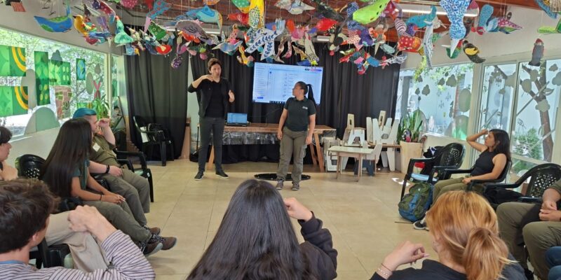 Curso Básico De Lengua De Señas Argentina Abierto Y Gratuito