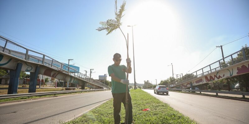 La Municipalidad De Córdoba Recuerda A Los Desaparecidos Durante La última Dictadura Militar Con La Plantación De 30 Mil Nuevos árboles