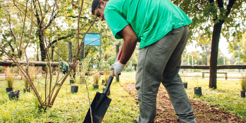 Ya Fueron Plantados Más De 3 Mil árboles En El Programa “Córdoba Respira Memoria”