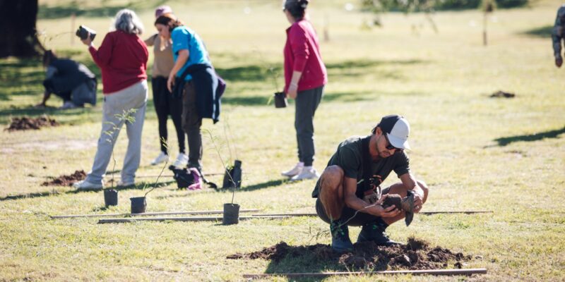 Sembrando Memoria: En Dos Meses Se Plantaron 5.700 árboles