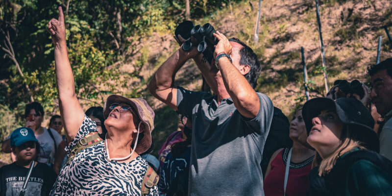 Este Sábado, La Reserva Natural Urbana General San Martín Invita A Participar De Una Jornada De Observación De Aves