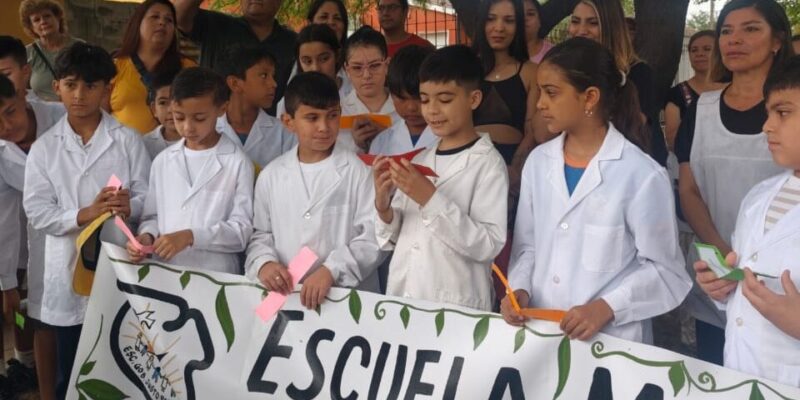 Estudiantes Municipales Desarrollaron Una Incubadora Inteligente De Semillas Y Reforestaron La Plaza De Su Barrio