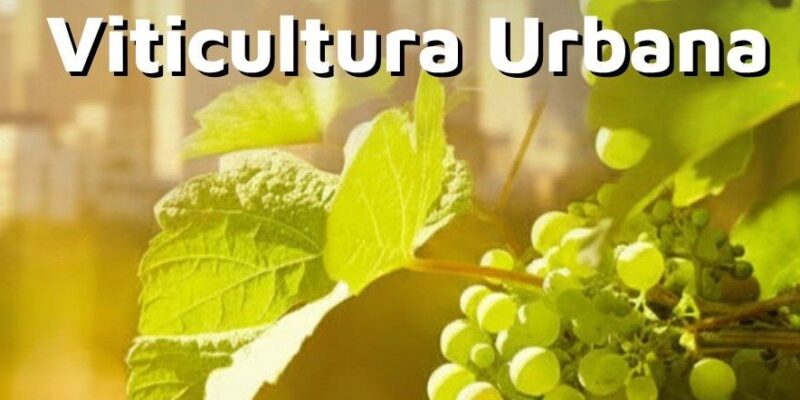 La Universidad Libre Del Ambiente Lanza Su Primer Seminario De Viticultura Urbana