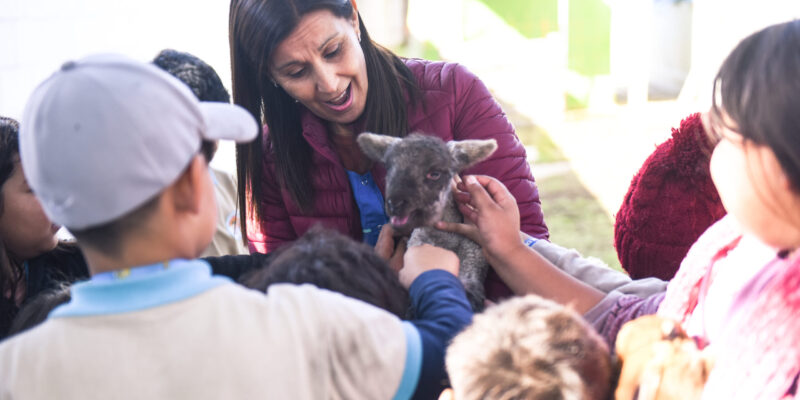 Una Granja En La Escuela: Un Proyecto Educativo Que Impulsa La Terapia Con Animales, Fortalece La Inclusión Y Potencia La Matrícula