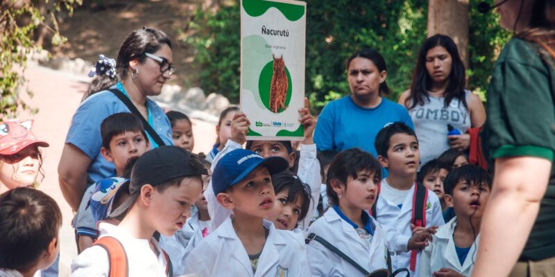 Más De 40 Escuelas Y Jardines Municipales Participaron De Los Paseos Socioeducativos De Línea E Durante El Primer Cuatrimestre