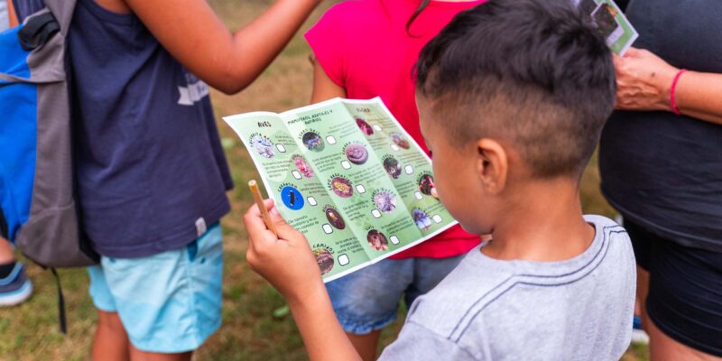 La Reserva De San Martín Invita A Descubrir Su Biodiversidad Con Recorridos Guiados Y Cine Ambiental