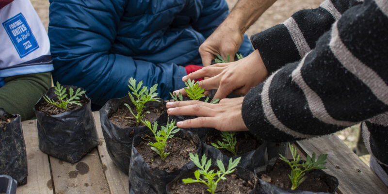 Canje De Residuos Por Flores, Una Propuesta Para Recibir La Primavera