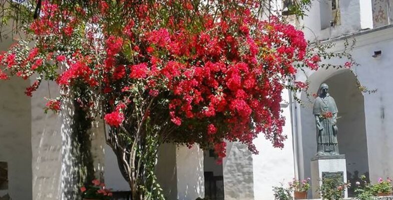 Museo San Alberto: Una Tarde Con Arte E Inspiración En El Patio Del Fundador