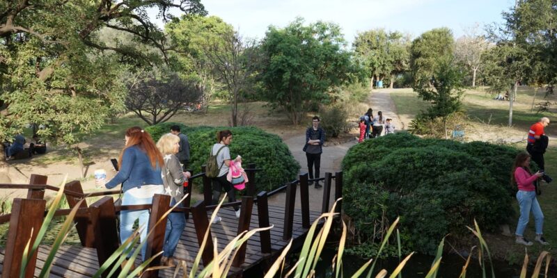 Día De Los Jardines Botánicos: Jornada De Actividades Para Toda La Familia